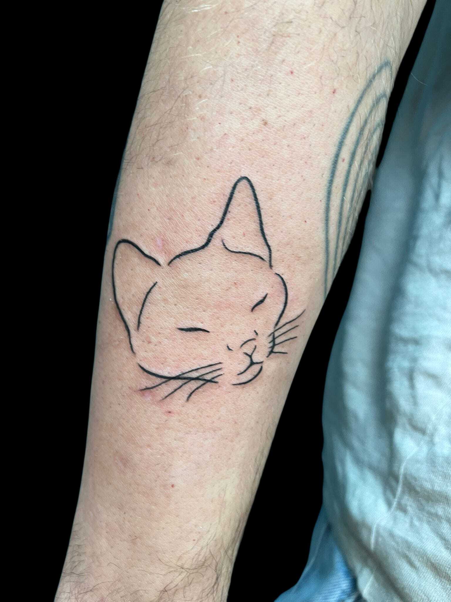 WhatsApp_Image_2025_11_03_at_21.07.14_1_.jpeg WhatsApp_Image_2025_11_03_at_21.07.14_1_.jpeg