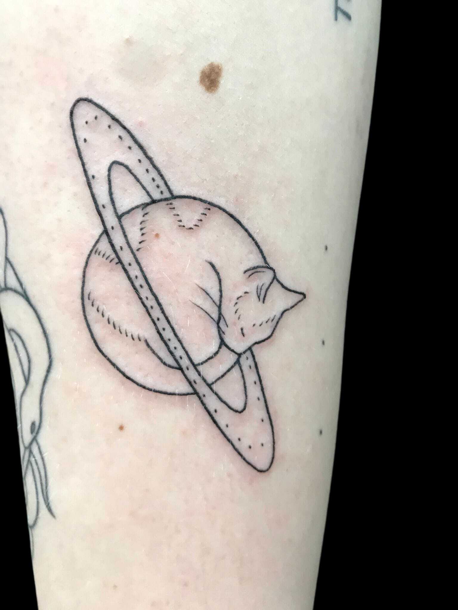 WhatsApp_Image_2025_11_03_at_21.07.15.jpeg WhatsApp_Image_2025_11_03_at_21.07.15.jpeg