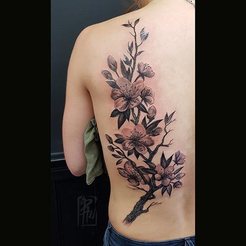 cherryblossom.jpg